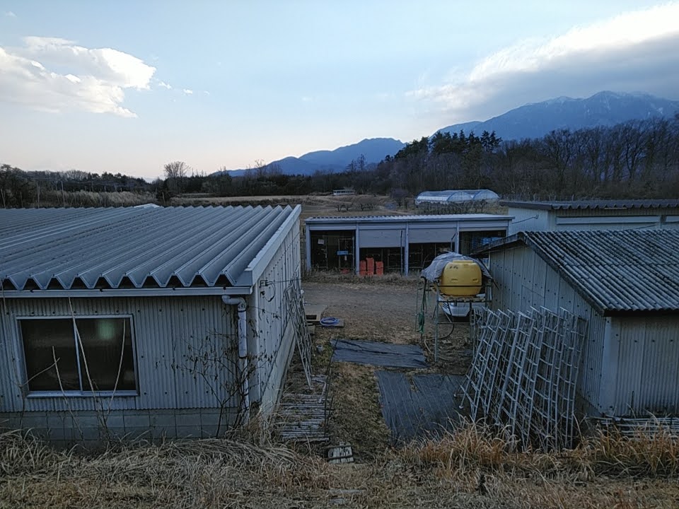 学校圃場