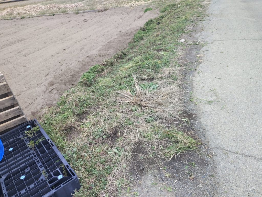 資材置き場候補